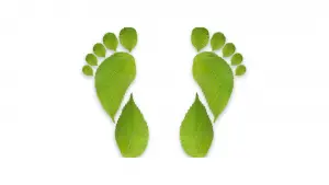 Carbon footprint green leaves